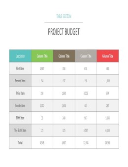 PPT方案预算表格